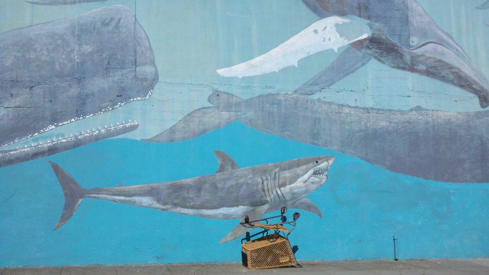 shopping cart in front of mural of sharks and whales.